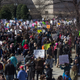 A view from atop a tree over the sea of marchers and signs below.